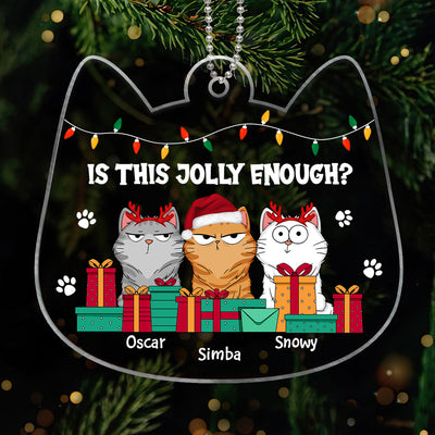 Is This Jolly Enough Cats Funny Expression Personalized Acrylic Ornament