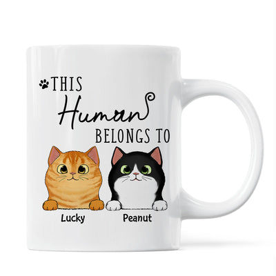 This Human Belongs To Fluffy Cats Personalized Mug