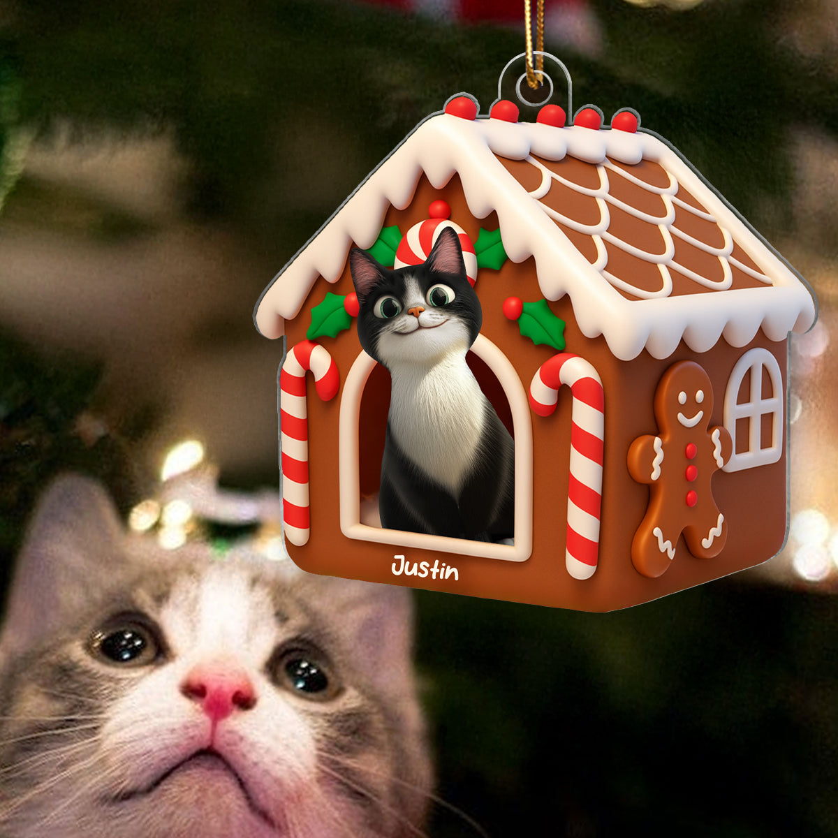 Gingerbread Cat House Personalized Acrylic Ornament, Christmas Gift for Cat Mom, Cat Dad
