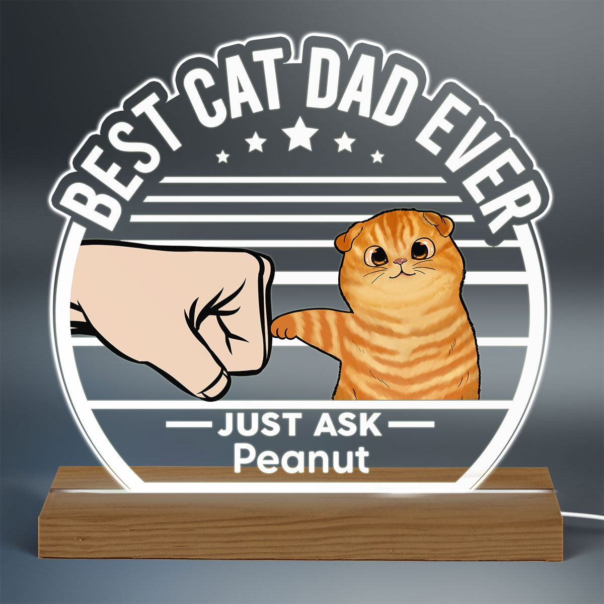 Best Cat Dad Ever Fluffy Cat Personalized Custom Shape LED Night Light