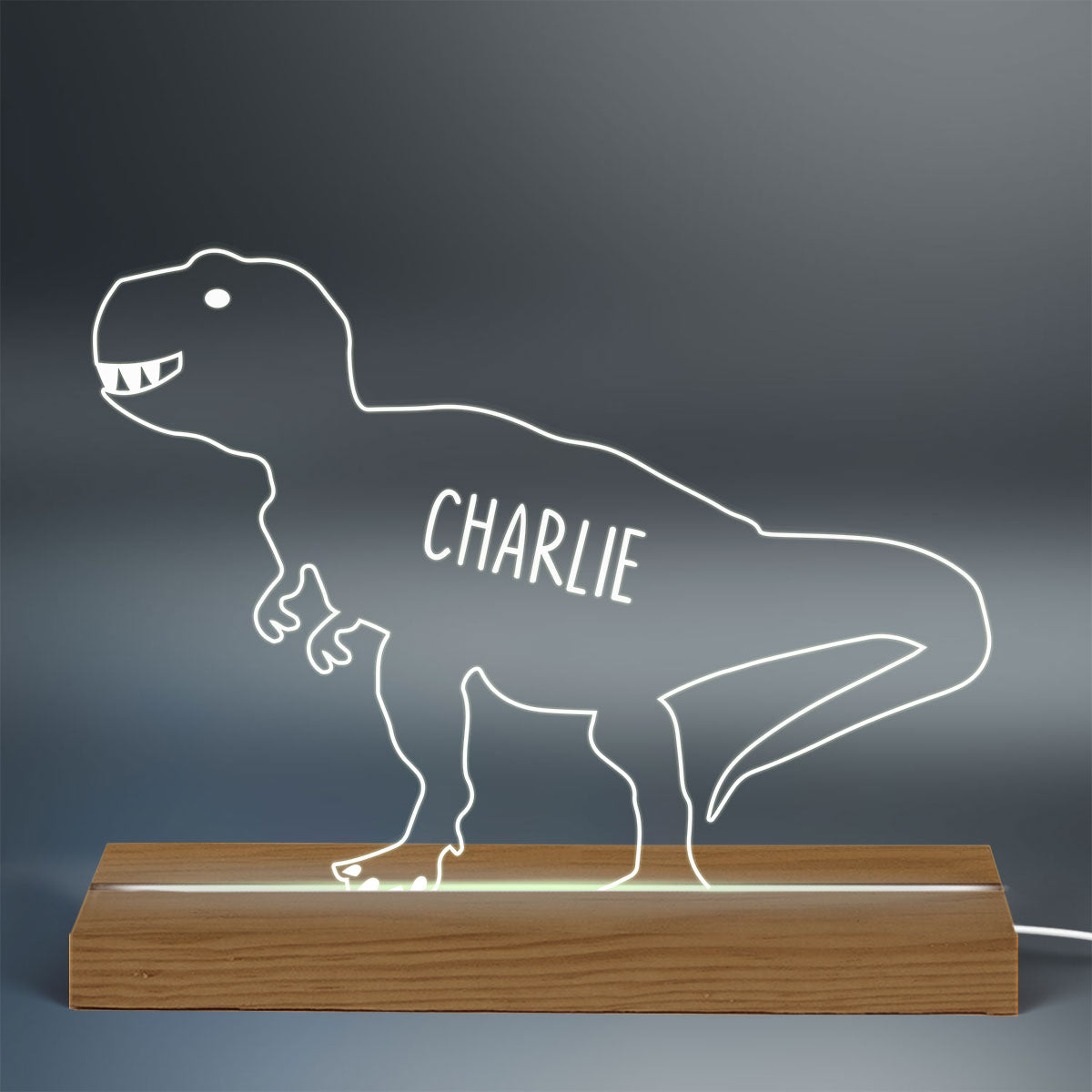 Dinosaur Kids Names Gift For Kids Grandkids Personalized Custom Shape Acrylic Plaque LED Night Light