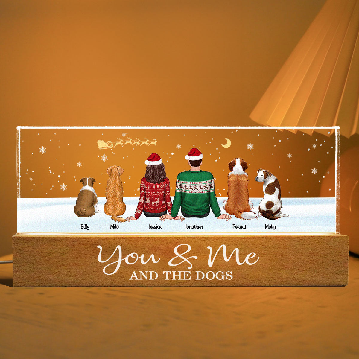You Me And The Dogs Cats Sitting In Snow Personalized Acrylic Block LED Night Light, Christmas Decoration