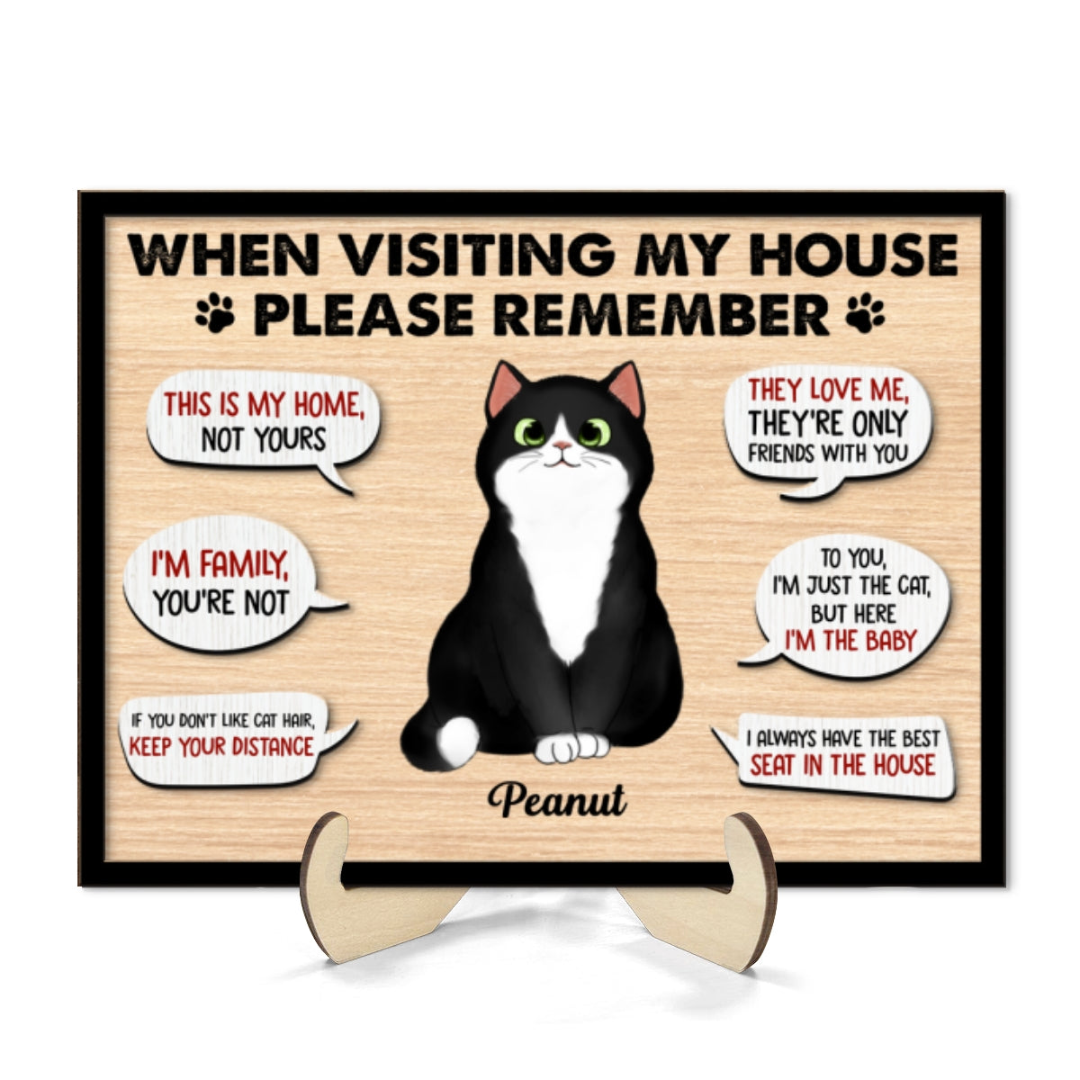 Remember When Visiting Cats House Fluffy Cats Personalized 2-layer Wooden Plaque