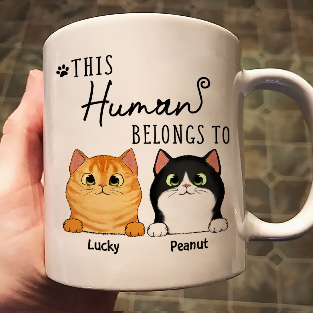This Human Belongs To Fluffy Cats Personalized Mug