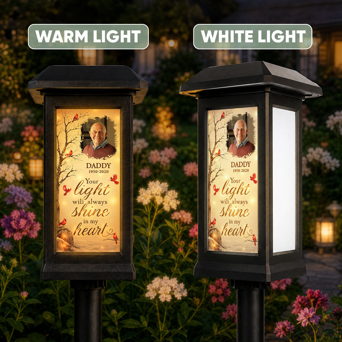 Your Light Will Always Shine in My Heart Cardinal Memorial - Personalized Solar Garden Light - Heartfelt Sympathy Gift for Loved Ones