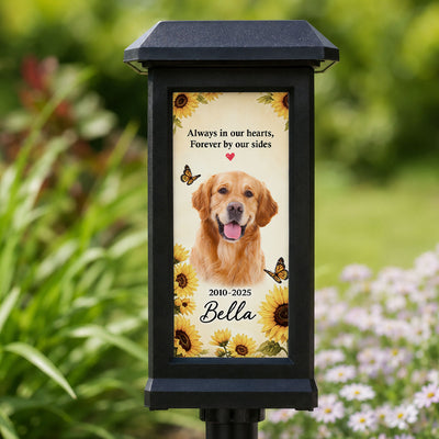 Custom Pet Memorial Photo - Personalized Solar Garden Light - Custom Dog Cat Garden Stake, Sympathy Gift