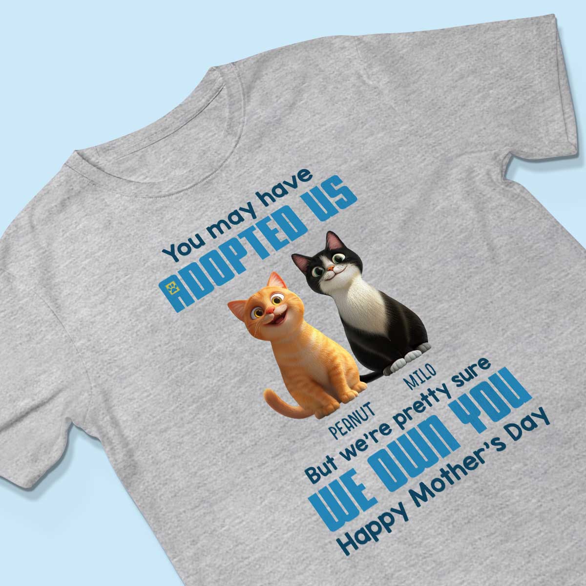 Pretty Sure We Own You Cat Mom Personalized Shirt, Funny Gift for Cat Moms