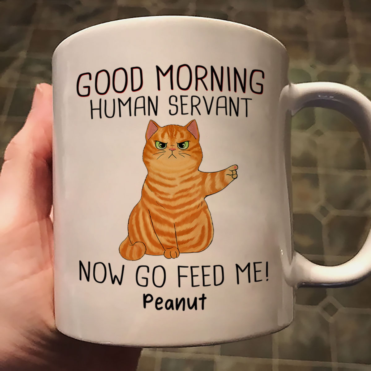 Happy Father‘s Day Good Morning Now Go Feed Me Grumpy Fluffy Cat Personalized Mug