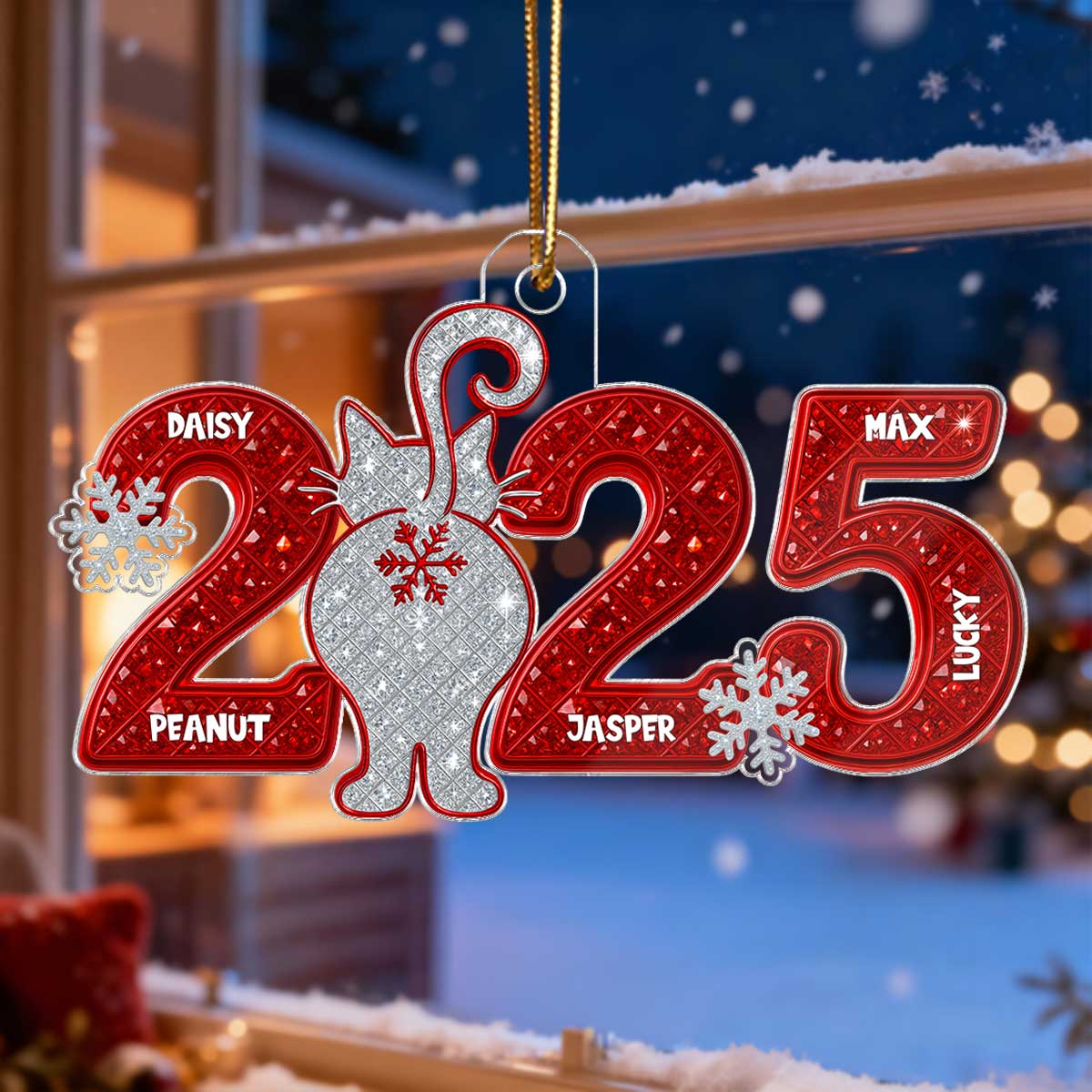 3D Shining Effect Christmas Cat Custom Names - Personalized Acrylic Ornament - Gift For Cat Lovers