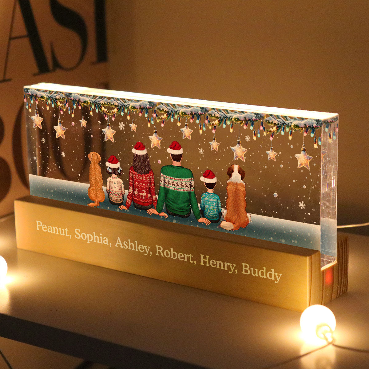 Family Dogs Cats Christmas Sitting Christmas Light Star Personalized Acrylic Block LED Night Light