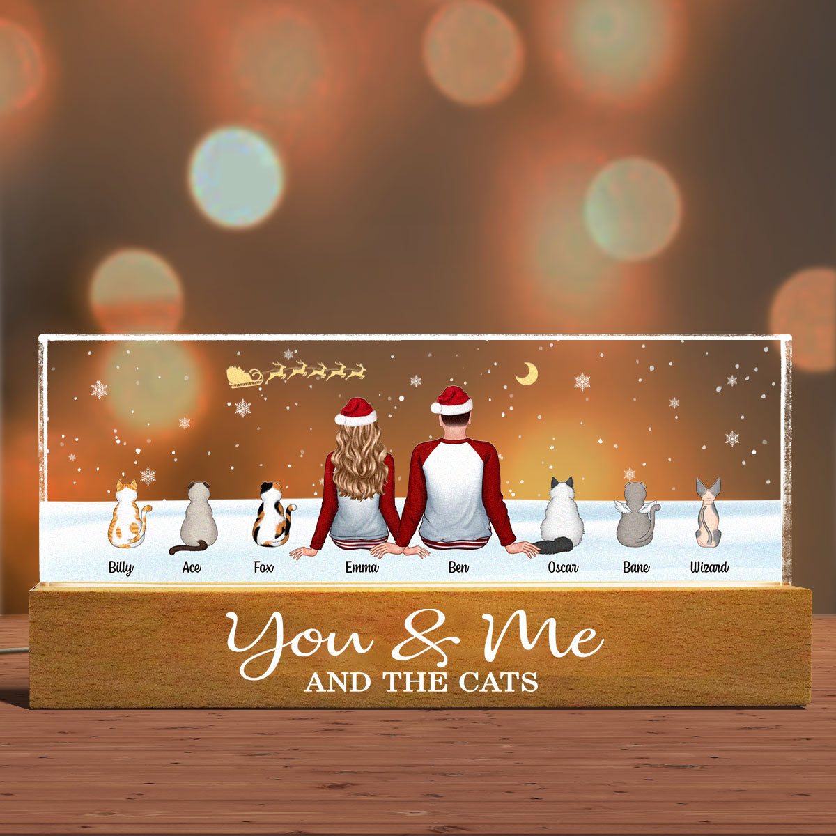 You Me And The Dogs Cats Sitting In Snow Personalized Acrylic Block LED Night Light, Christmas Decoration