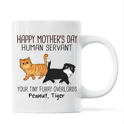 Walking Fluffy Cats Happy Mother‘s Day Cat Human Servant Personalized Mug