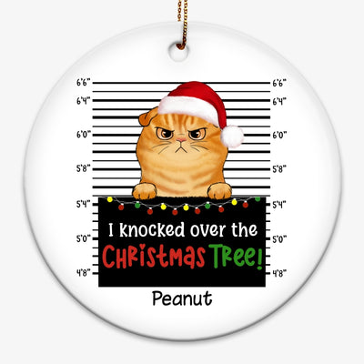 Guilty Cats Knocked Over Christmas Tree Personalized Circle Ornament