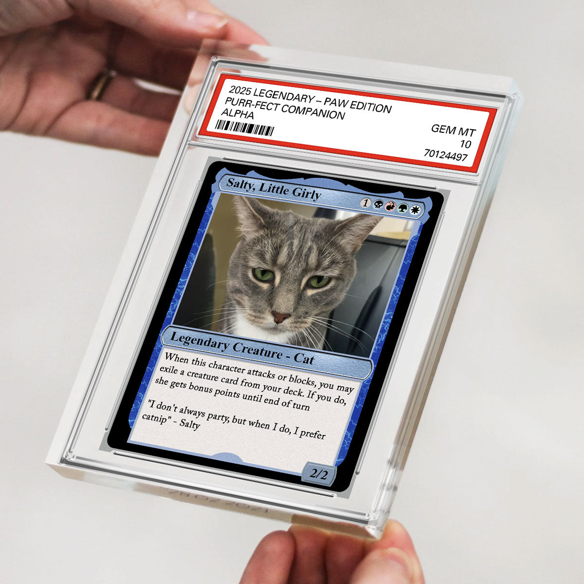 Custom Pet Photo Fantasy Trading Card Style Personalized Acrylic Block Plaque, Gift For Pet Lover