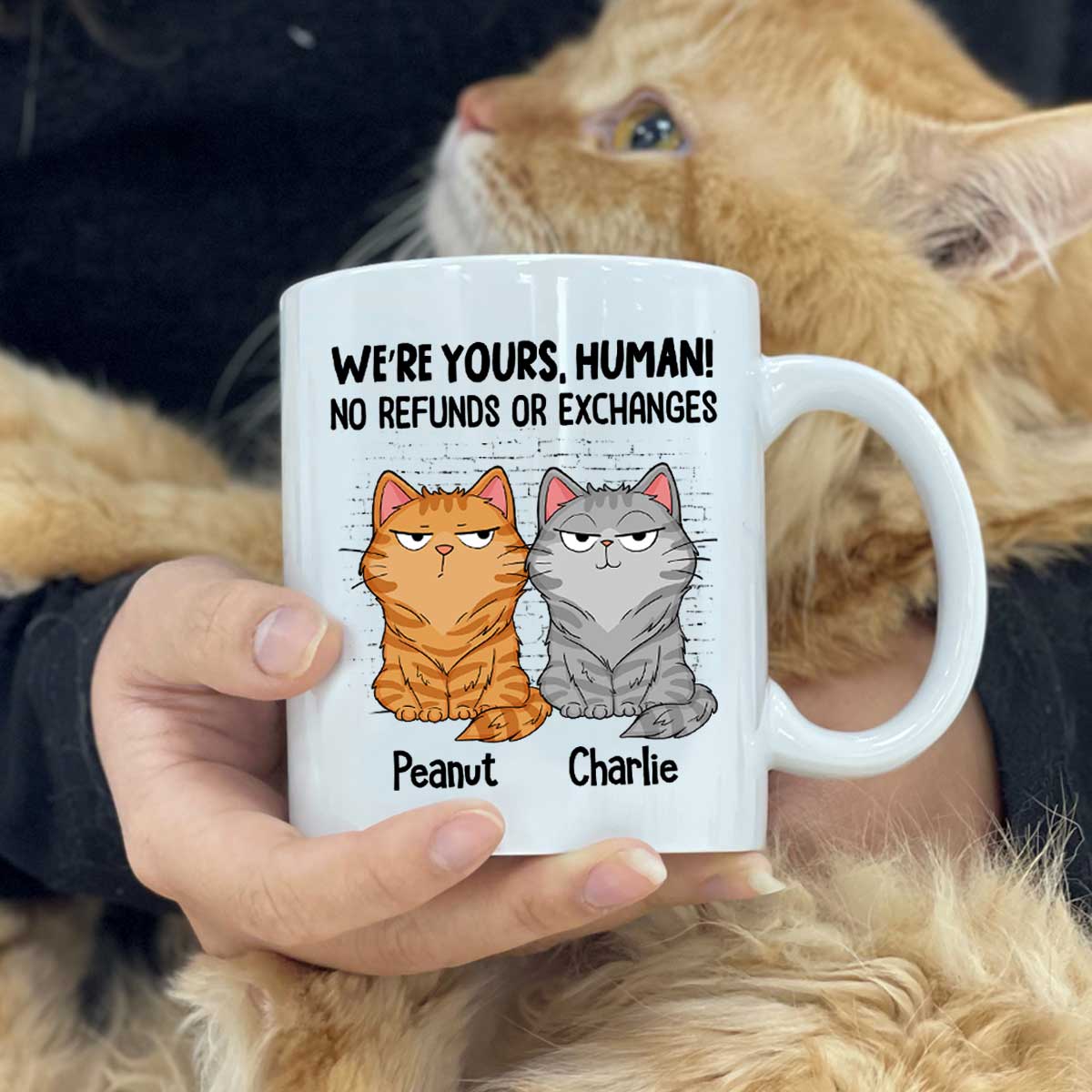 Sorry Human We‘re Yours Funny Cat Expression Personalized Mug