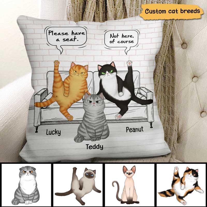 Funny Cats Please Have A Seat Personalized Pillow