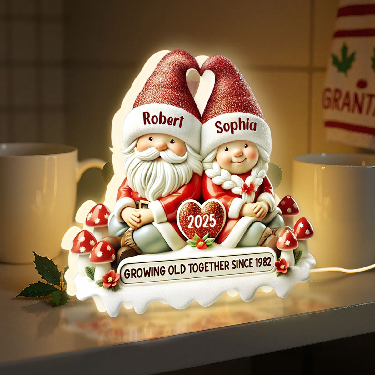 3D Effect Gnome Couple Growing Old Together Christmas - Personalized Light Box