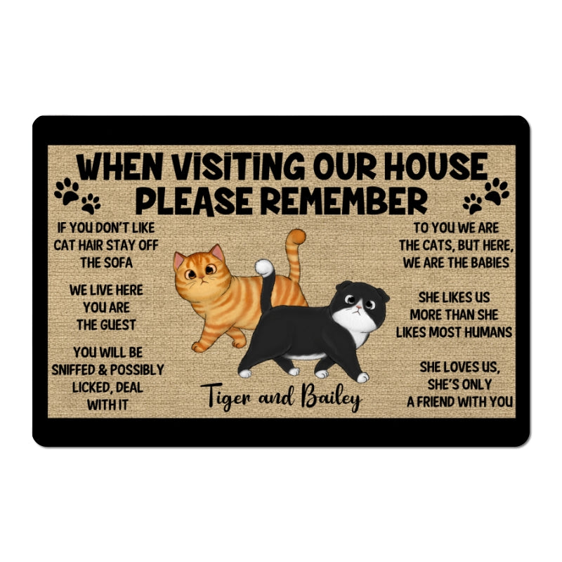 Please Remember When Visiting Cats House One Person Personalized Doormat