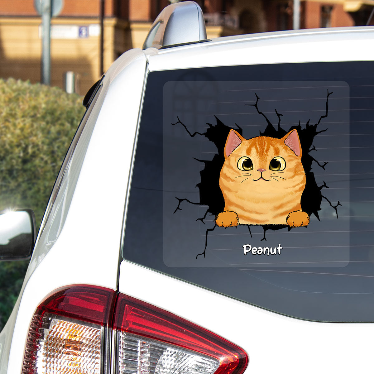 Peeking Cats Personalized Decal, Gift For Cat Lovers