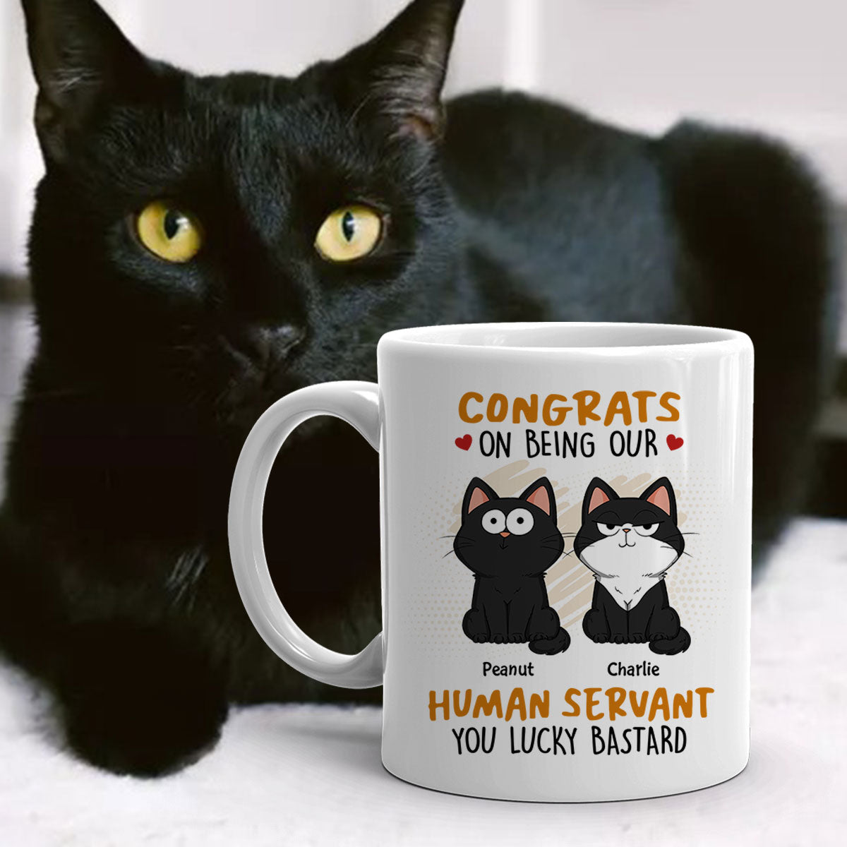 Congrats On Being My Human Servant Funny Cat Expression Personalized Mug