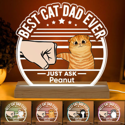 Best Cat Dad Ever Fluffy Cat Personalized Custom Shape LED Night Light