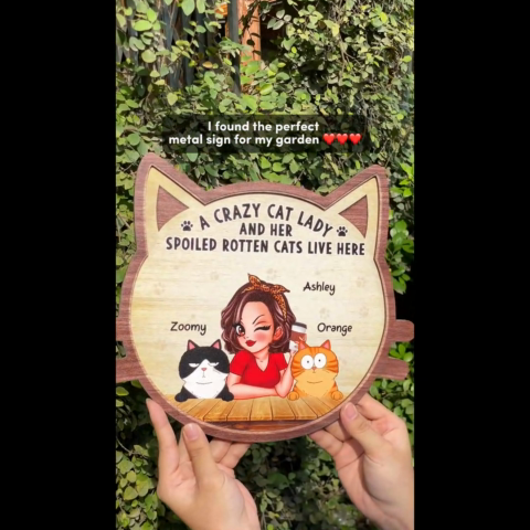 Crazy Cat Lady And Spoiled Rotten Cats Personalized 2-Layer Wood Sign