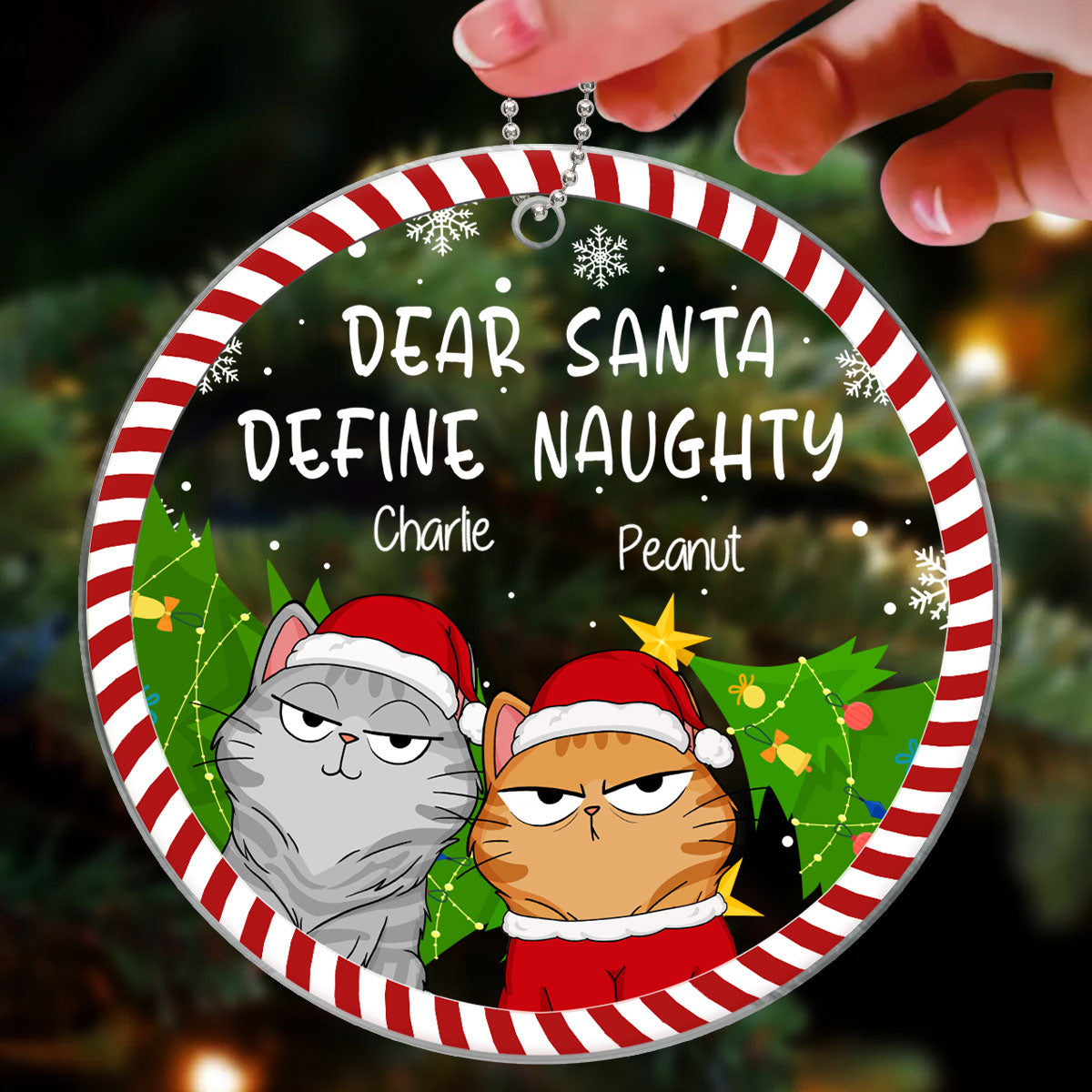 Define Naughty Funny Expression Cats Candy Cane Frame Personalized Acrylic Ornament
