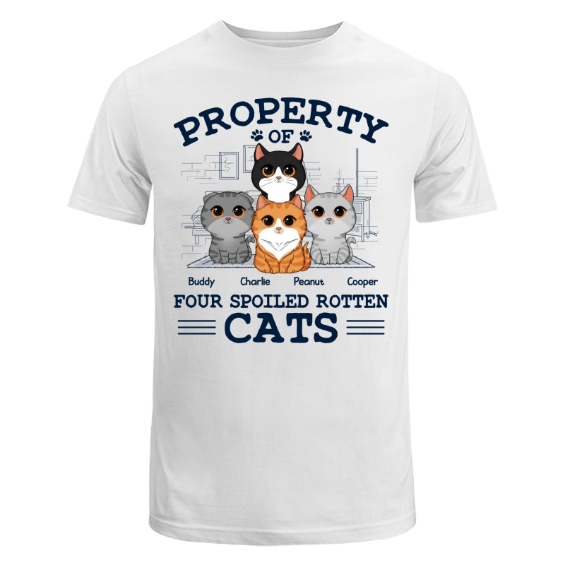 Property Of Spoiled Rotten Cats Personalized Shirt