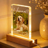 If Love Alone Could Have Kept You Here - Personalized Acrylic Block LED Night Light - Heartfelt Pet Loss Memorial Keepsake