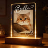 If Love Alone Could Have Kept You Here - Personalized Acrylic Block LED Night Light - Heartfelt Pet Loss Memorial Keepsake