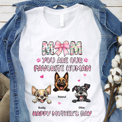 Mom You're My Favorite Human Happy Mother's Day Personalized Shirt For Dog Moms