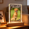 If Love Alone Could Have Kept You Here - Personalized Acrylic Block LED Night Light - Heartfelt Pet Loss Memorial Keepsake