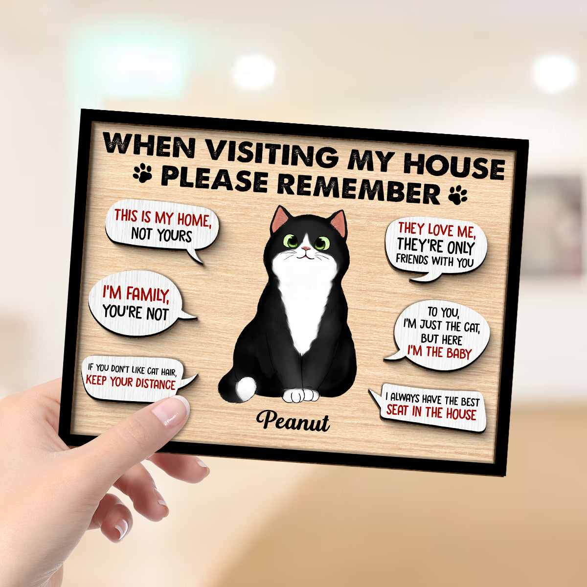 Remember When Visiting Cats House Fluffy Cats Personalized 2-layer Wooden Plaque