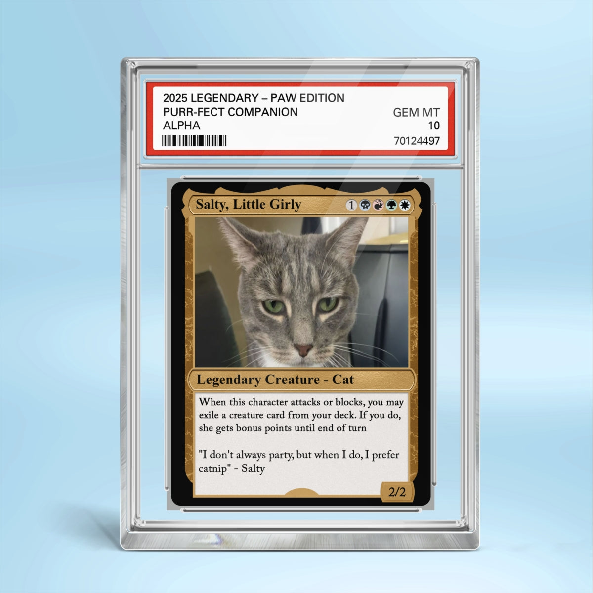 Custom Pet Photo Fantasy Trading Card Style Personalized Acrylic Block Plaque, Gift For Pet Lover