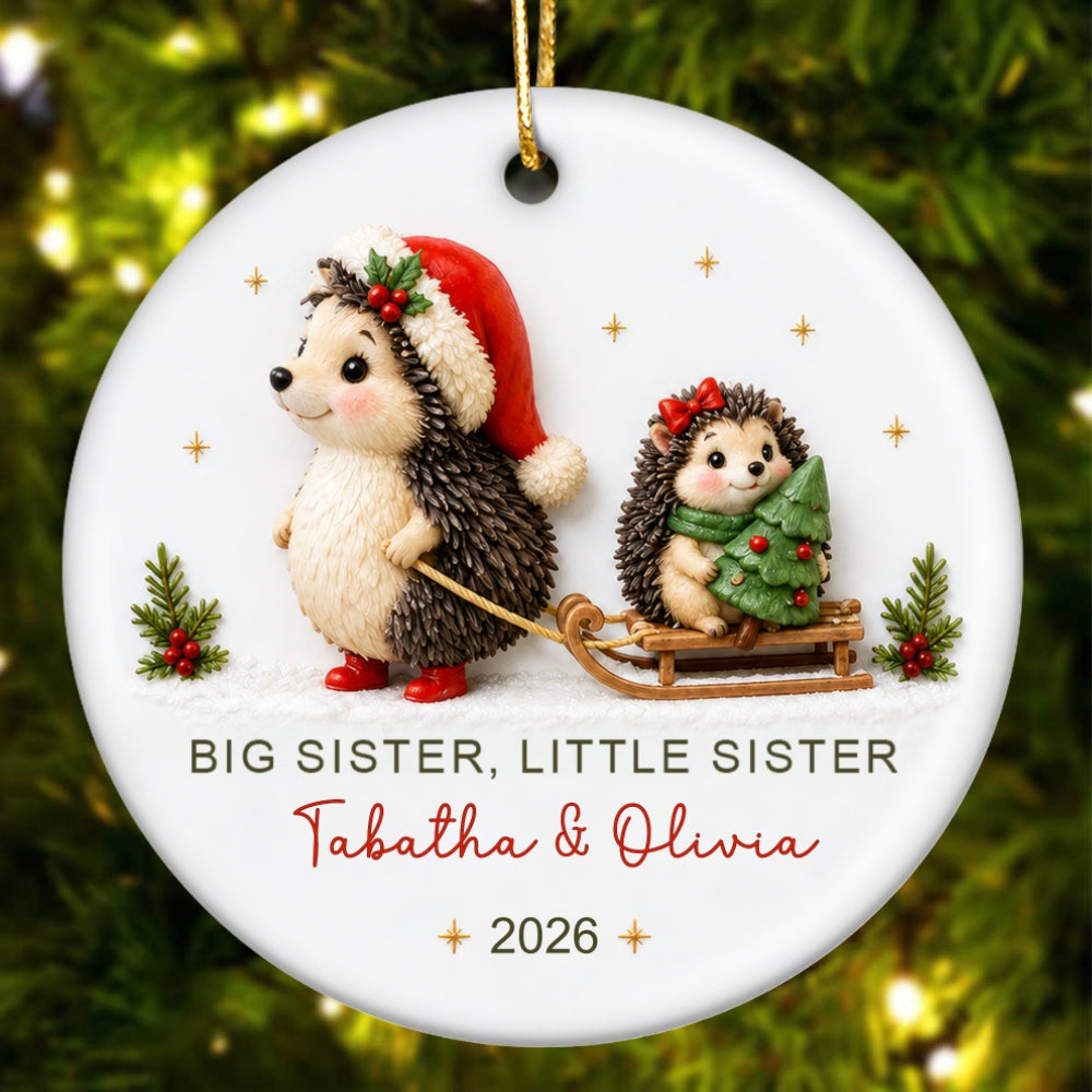 Big Sister Little Brother Sister Hedgehog 2D Flat - Personalized Ceramic Ornament - Christmas Keepsake
