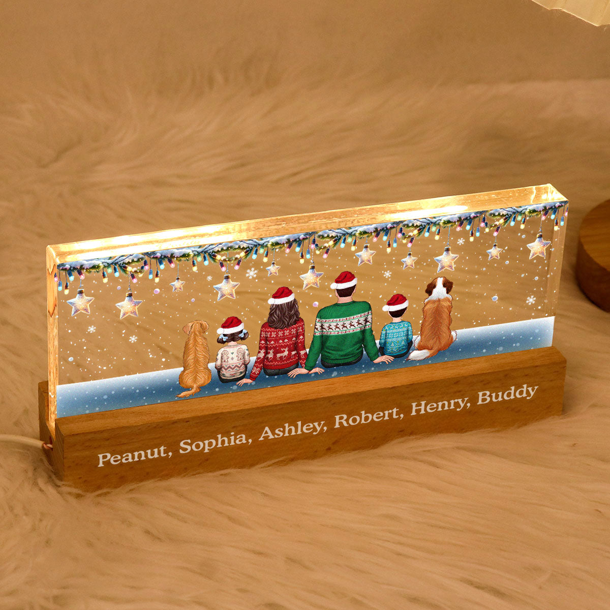 Family Dogs Cats Christmas Sitting Christmas Light Star Personalized Acrylic Block LED Night Light