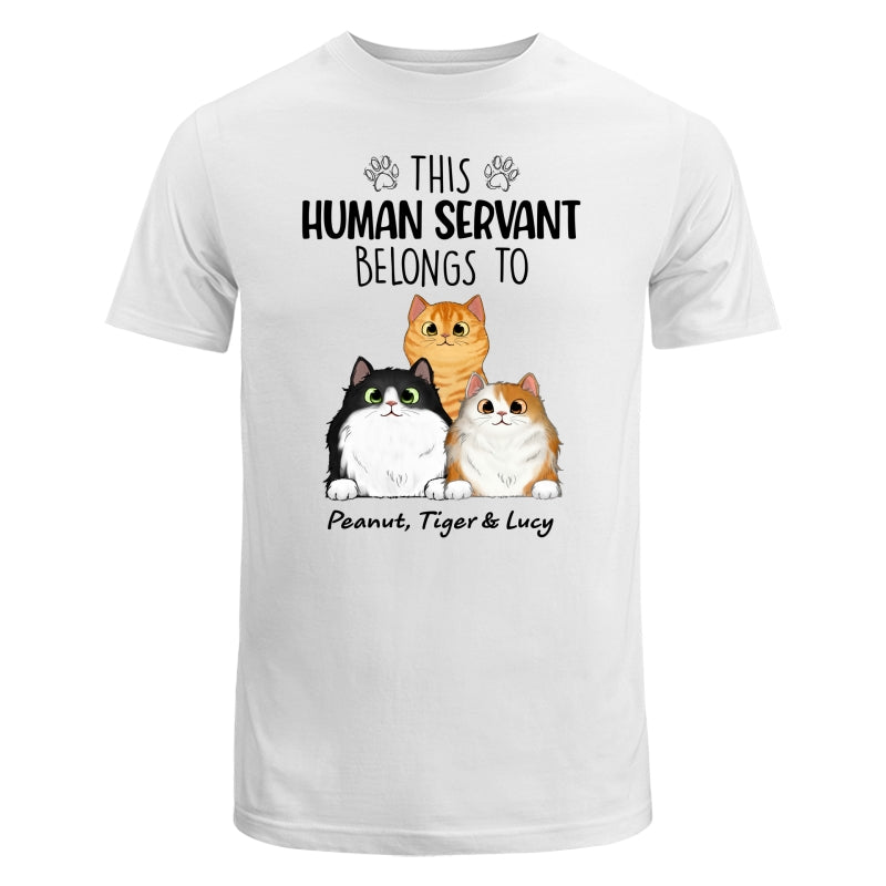 This Human Servants Belongs To Fluffy Cats Personalized Shirt