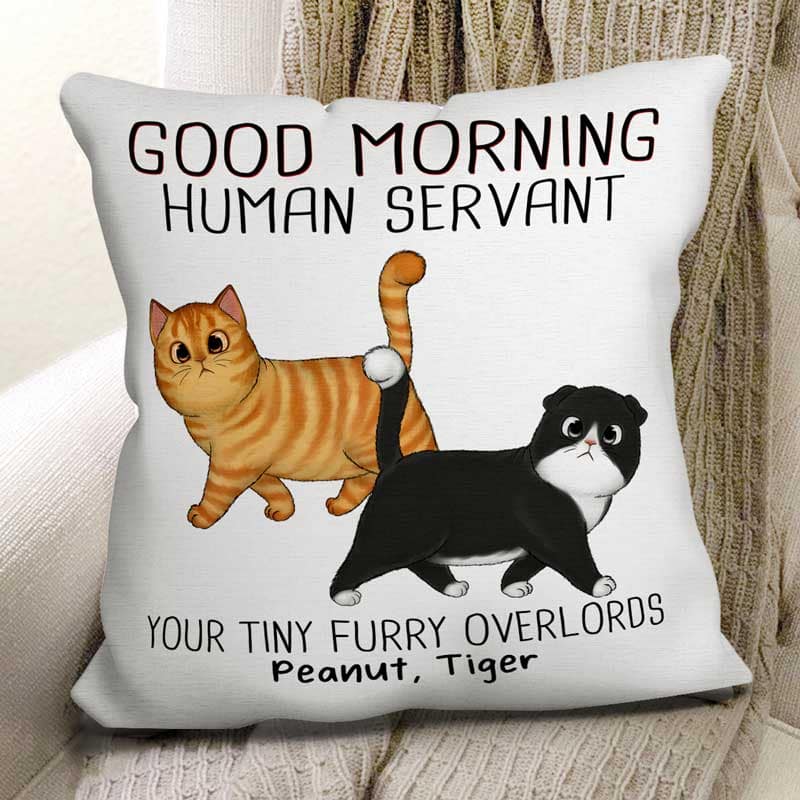 Walking Fluffy Cats Good Morning Cat Human Servant Personalized Pillow (Insert Included)