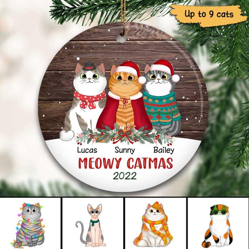 Snow Wood Fluffy Cat Christmas Personalized Circle Ornament