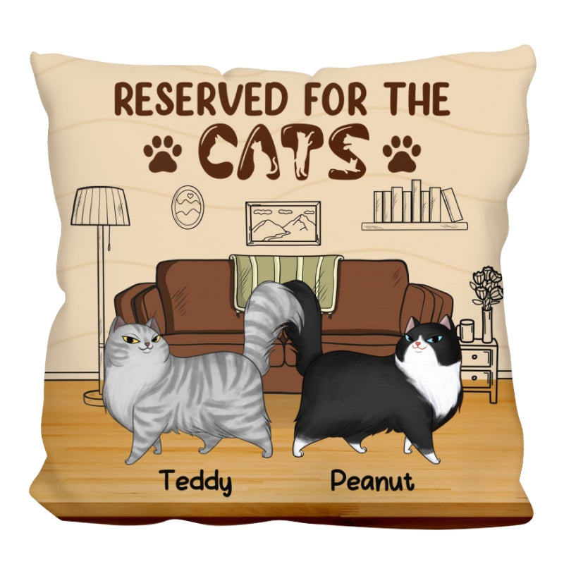 Reserved For The Cartoon Walking Cats Personalized Pillow
