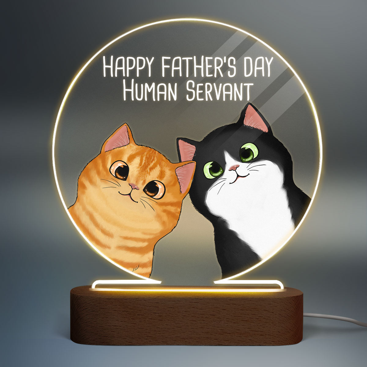 Happy Father‘s Day Human Servant Peeking Fluffy Cats Personalized Circle Acrylic Plaque LED Night Light