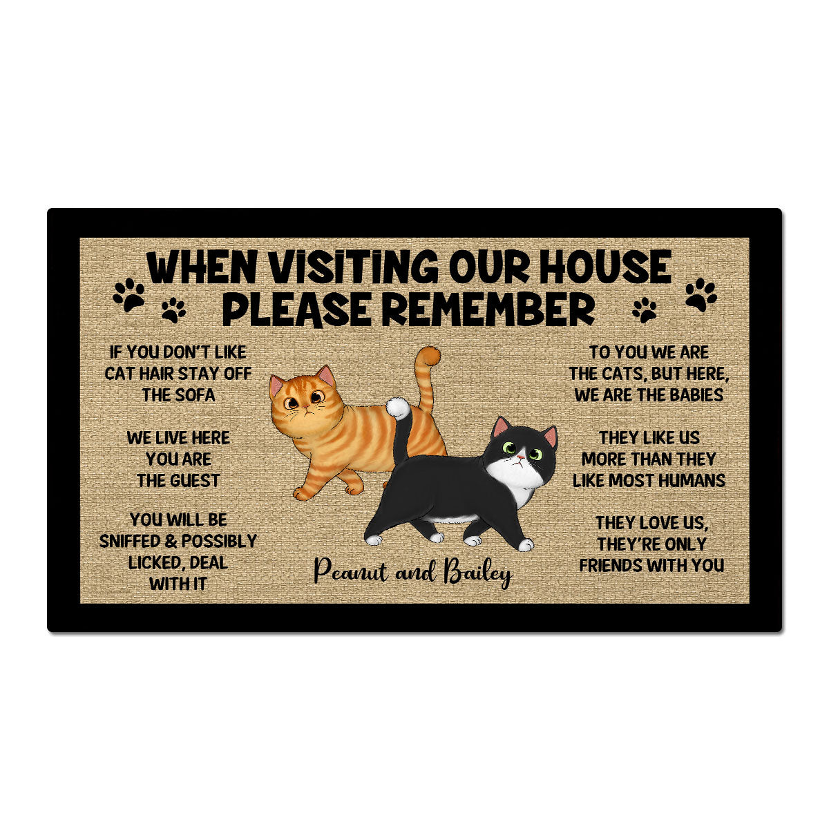 Please Remember When Visiting Cats House Home Decor Gift For Cat Lover Personalized Doormat