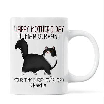 Happy Mother's Day Human Servant Cartoon Walking Cat Personalized Mug
