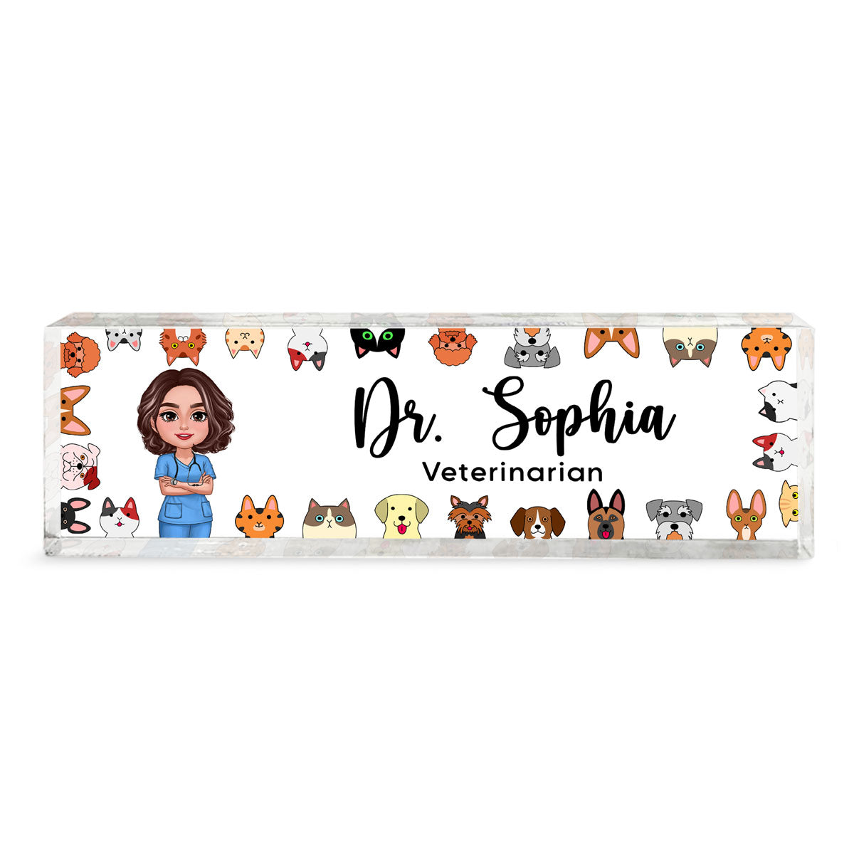 Dog Cat Veterinarian Personalized Acrylic Desk Name Plate, Christmas Gift For Vet