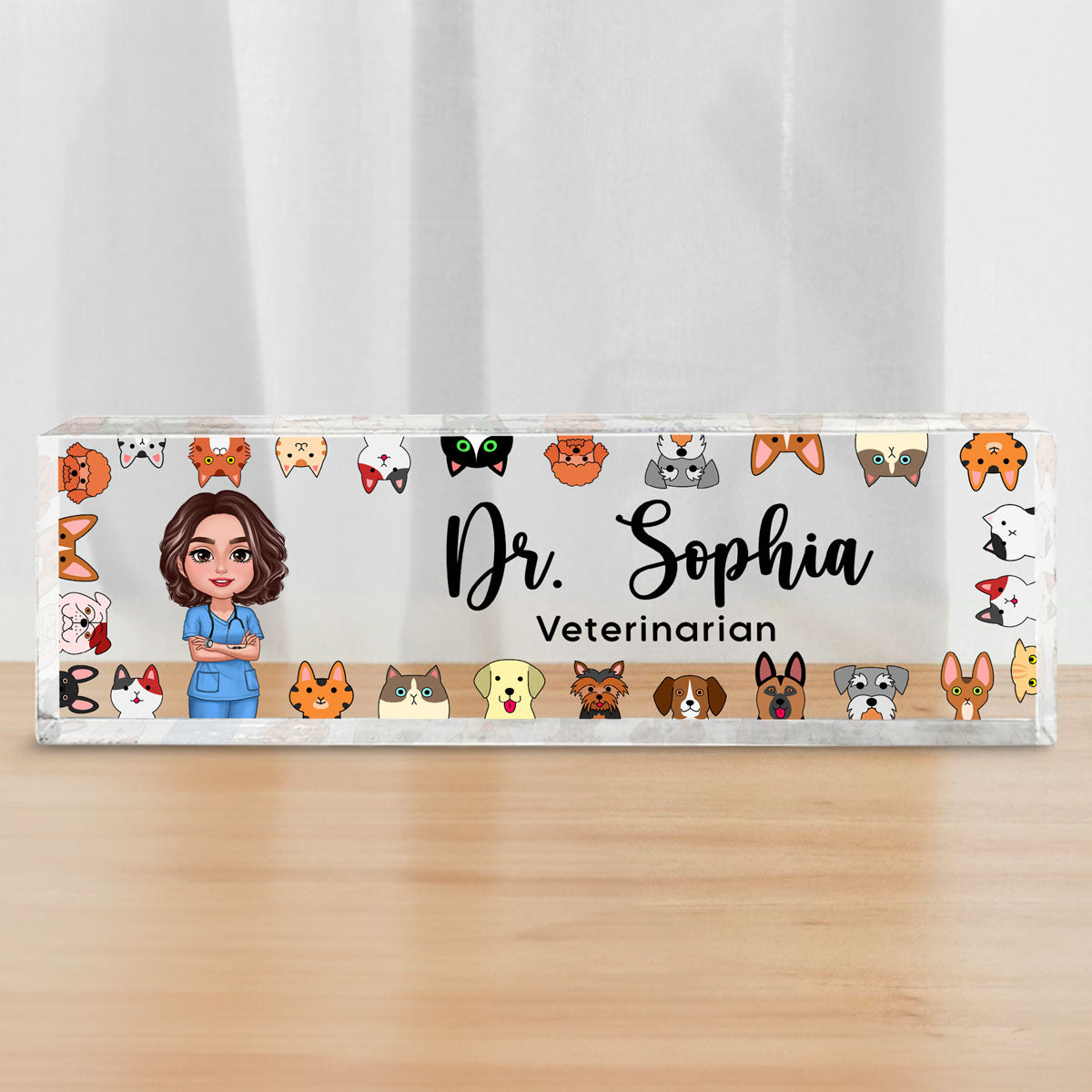 Dog Cat Veterinarian Personalized Acrylic Desk Name Plate, Christmas Gift For Vet