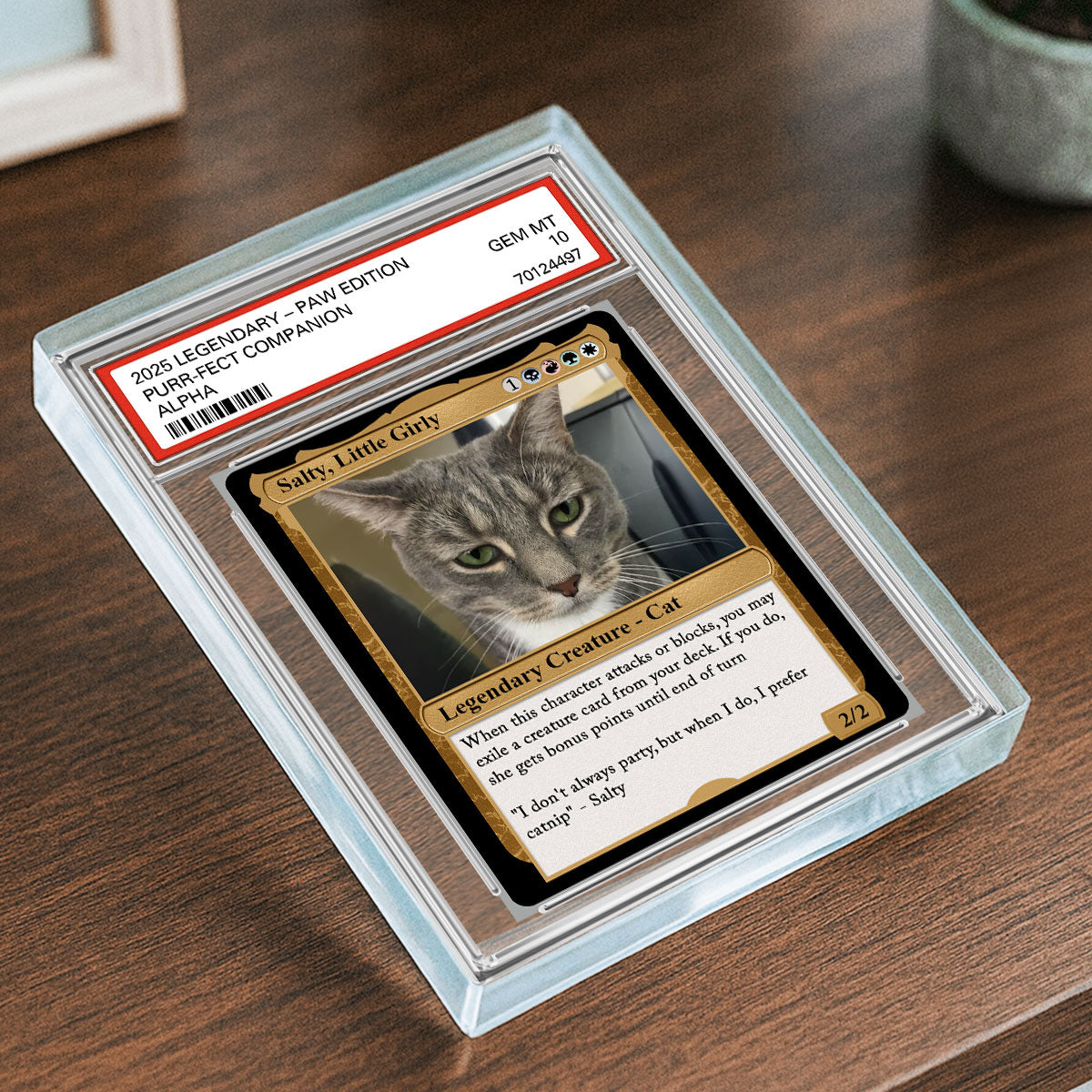 Custom Pet Photo Fantasy Trading Card Style Personalized Acrylic Block Plaque, Gift For Pet Lover