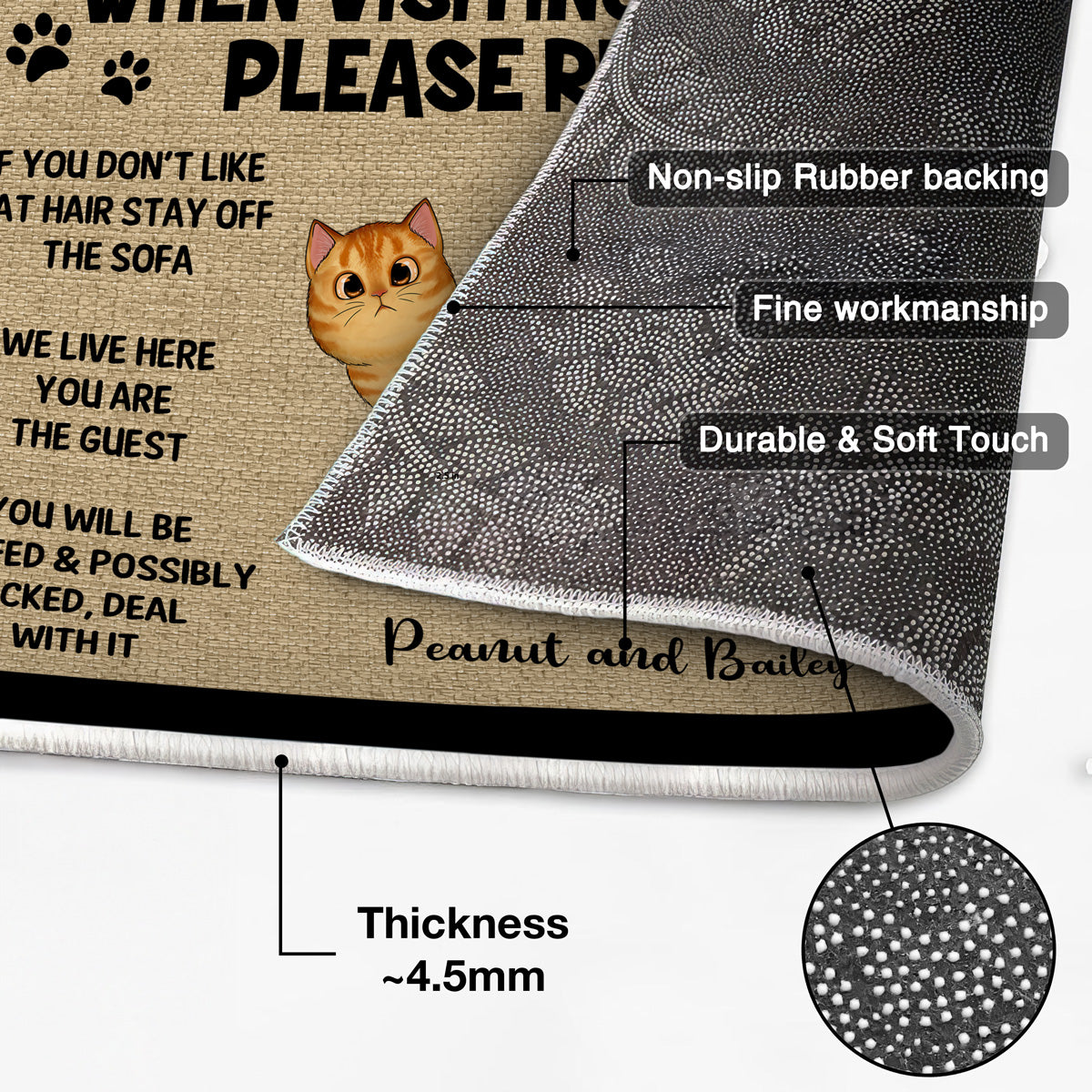 Please Remember When Visiting Cats House Home Decor Gift For Cat Lover Personalized Doormat