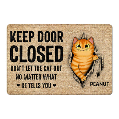 Keep Door Closed Fluffy Cat Tearing Light Color Personalized Doormat