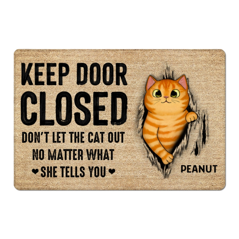 Keep Door Closed Fluffy Cat Tearing Light Color Personalized Doormat