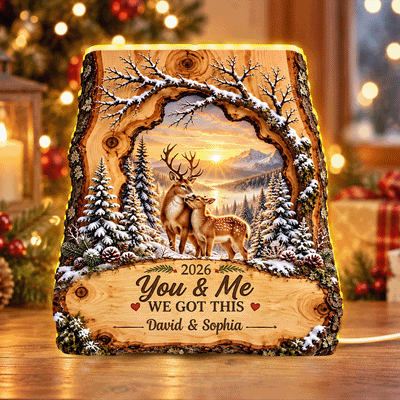 Deer Couple We Got This - Personalized Light Box - Heartfelt Christmas Gift for Her, for Him
